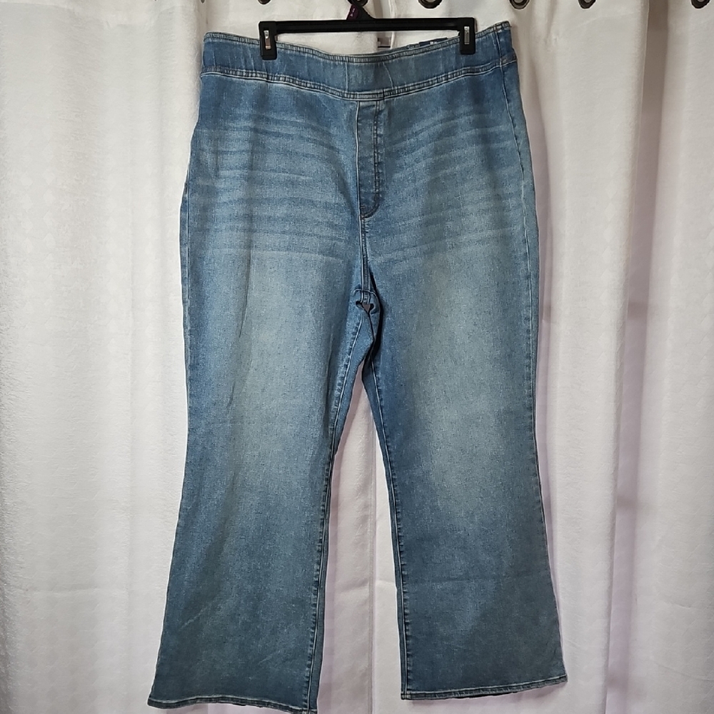Terra & sky Women's Blue Jeans Size 24W